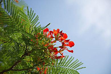 Fami通新一周销量榜 《皮克敏4》七连冠